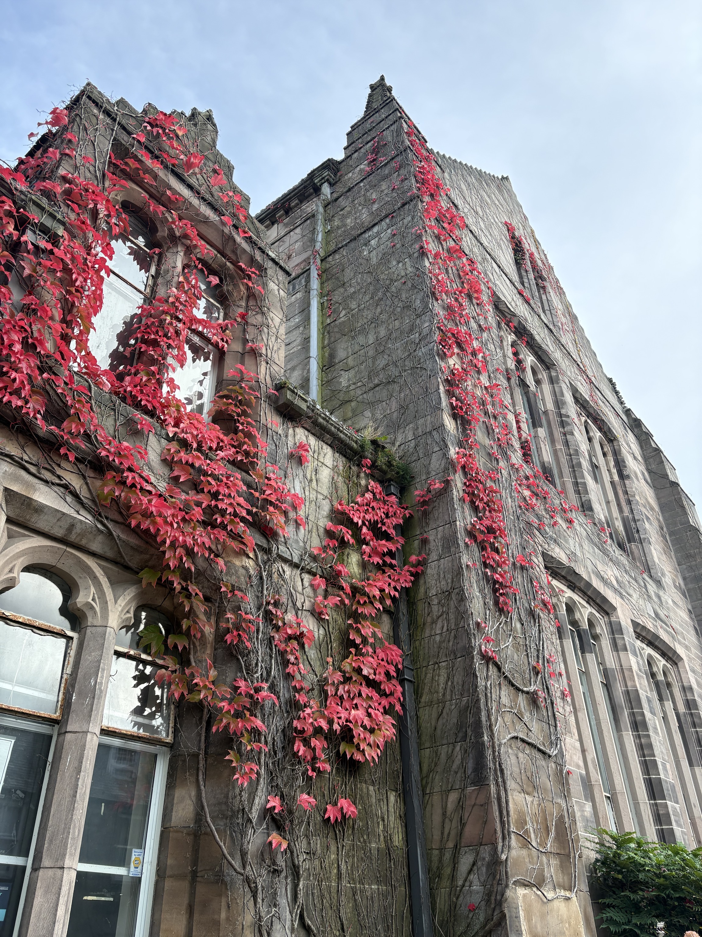 Aberdeen · red ivy on granite